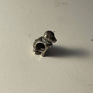 Pandora bracelet dog!